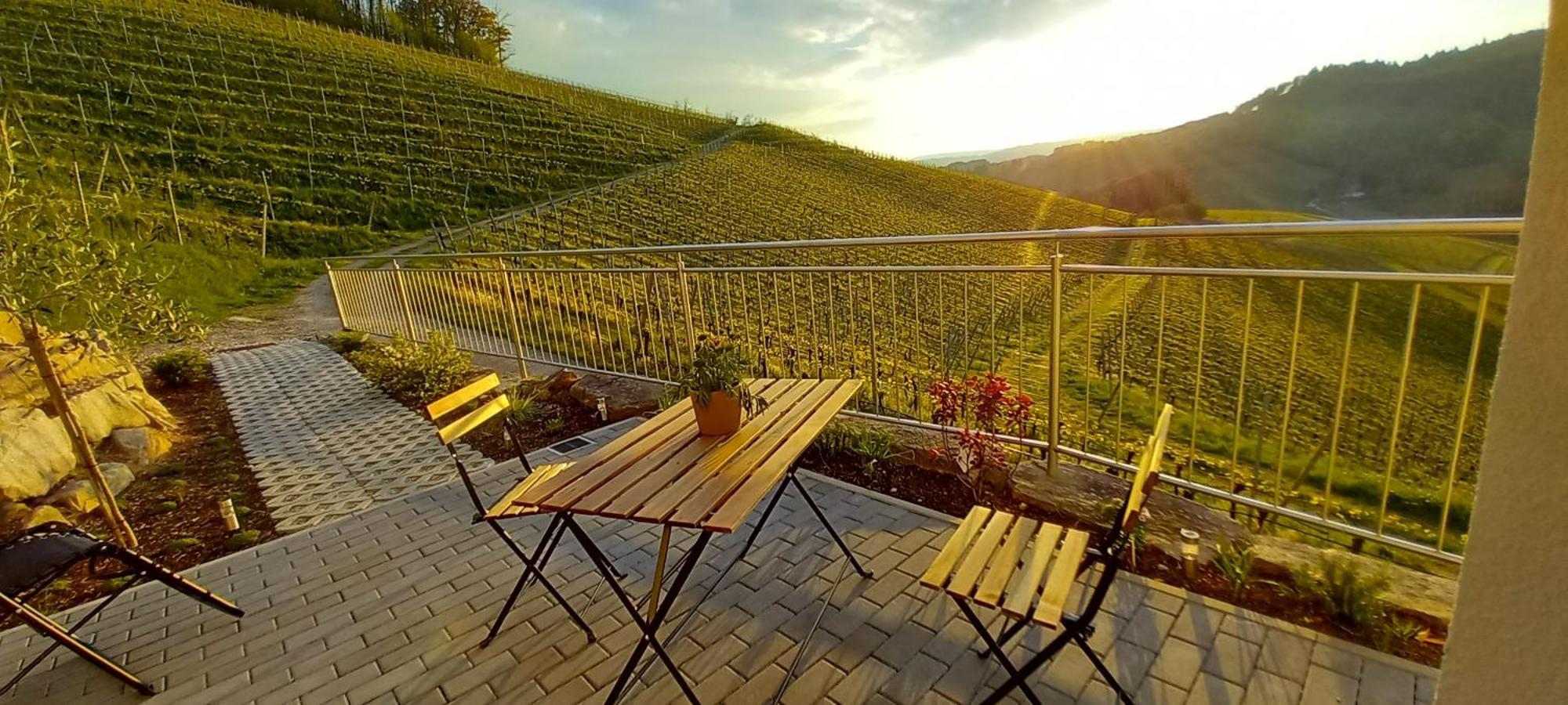 Appartement Schwarzwaldglueck à Oberkirch  Extérieur photo