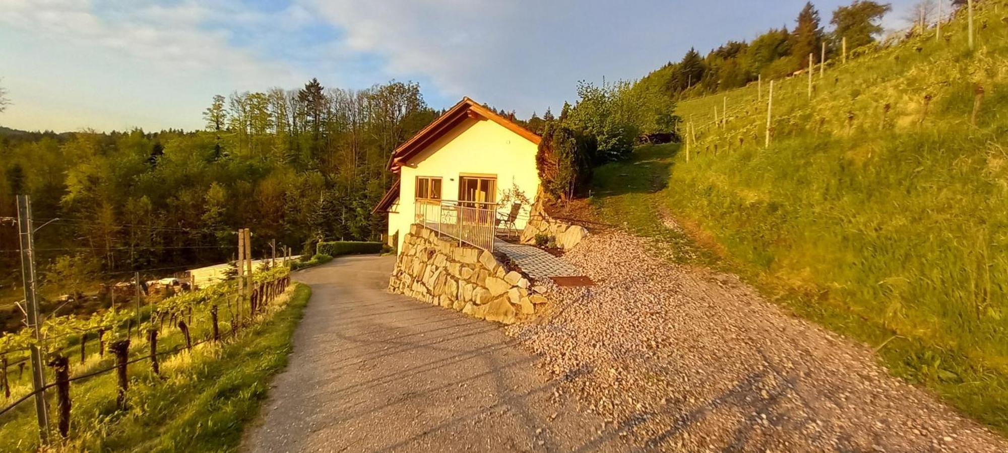 Appartement Schwarzwaldglueck à Oberkirch  Extérieur photo