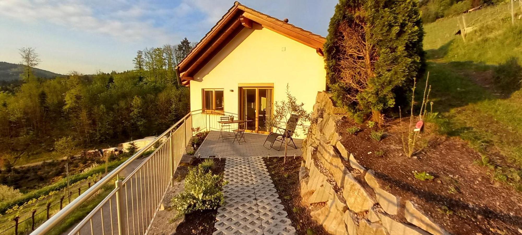 Appartement Schwarzwaldglueck à Oberkirch  Extérieur photo